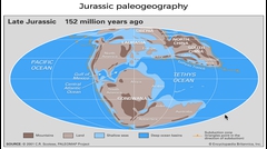 152 Million Years Ago: Gondwana